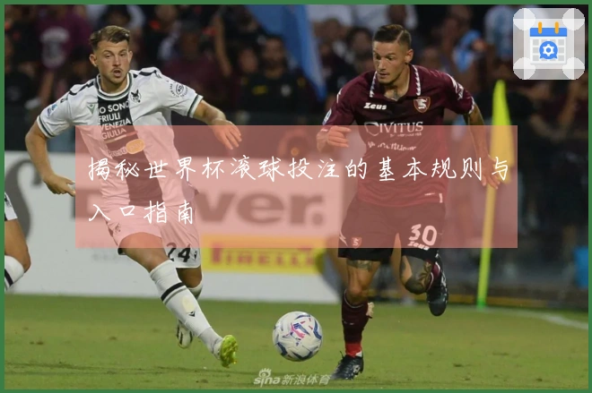 揭秘世界杯滚球投注的基本规则与入口指南