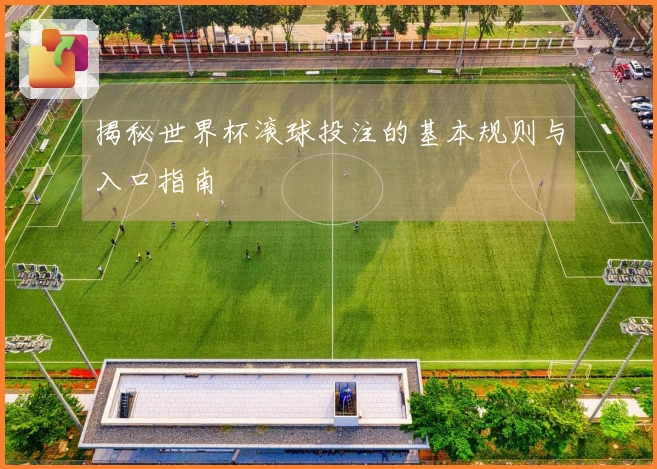 揭秘世界杯滚球投注的基本规则与入口指南