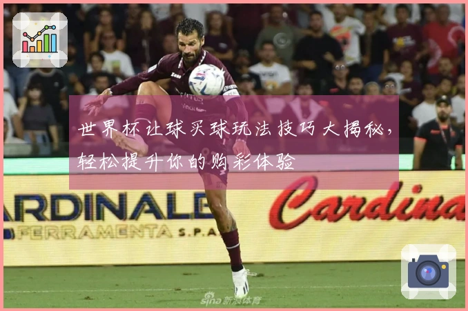 世界杯让球买球玩法技巧大揭秘，轻松提升你的购彩体验