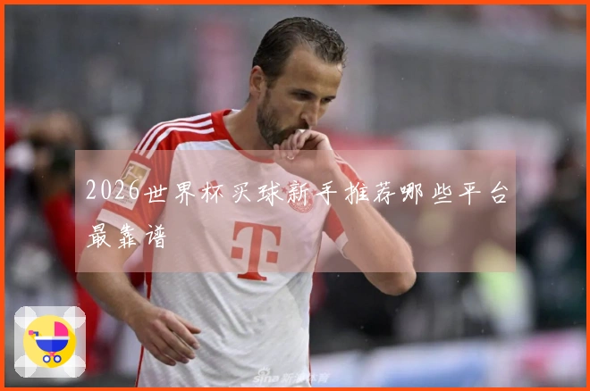 2026世界杯买球新手推荐哪些平台最靠谱