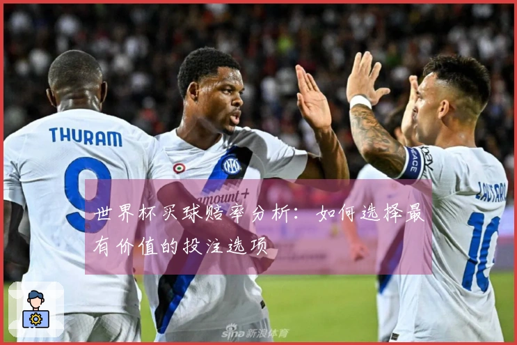 世界杯买球赔率分析：如何选择最有价值的投注选项