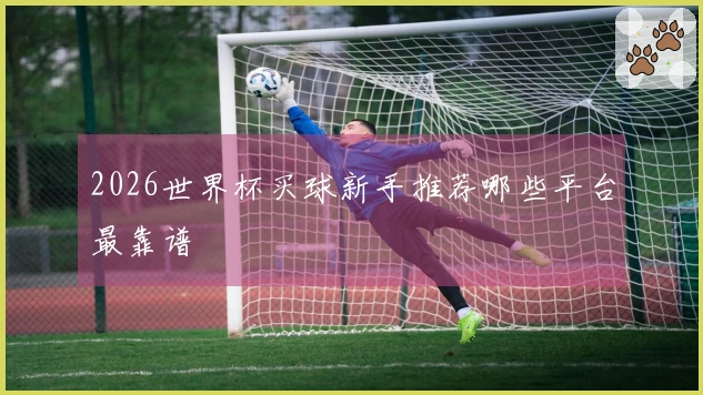 2026世界杯买球新手推荐哪些平台最靠谱