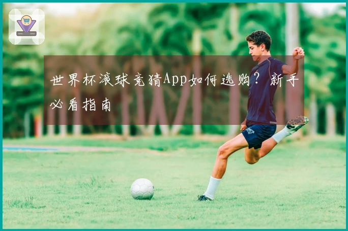 世界杯滚球竞猜App如何选购？新手必看指南